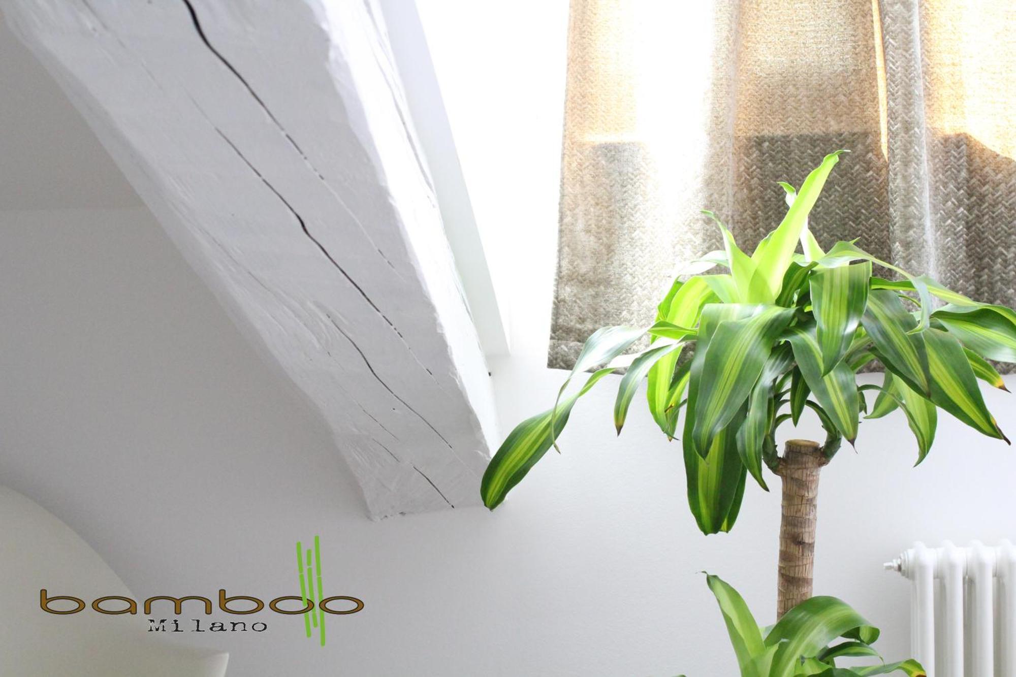 Bamboo Milano Isonzo公寓 外观 照片